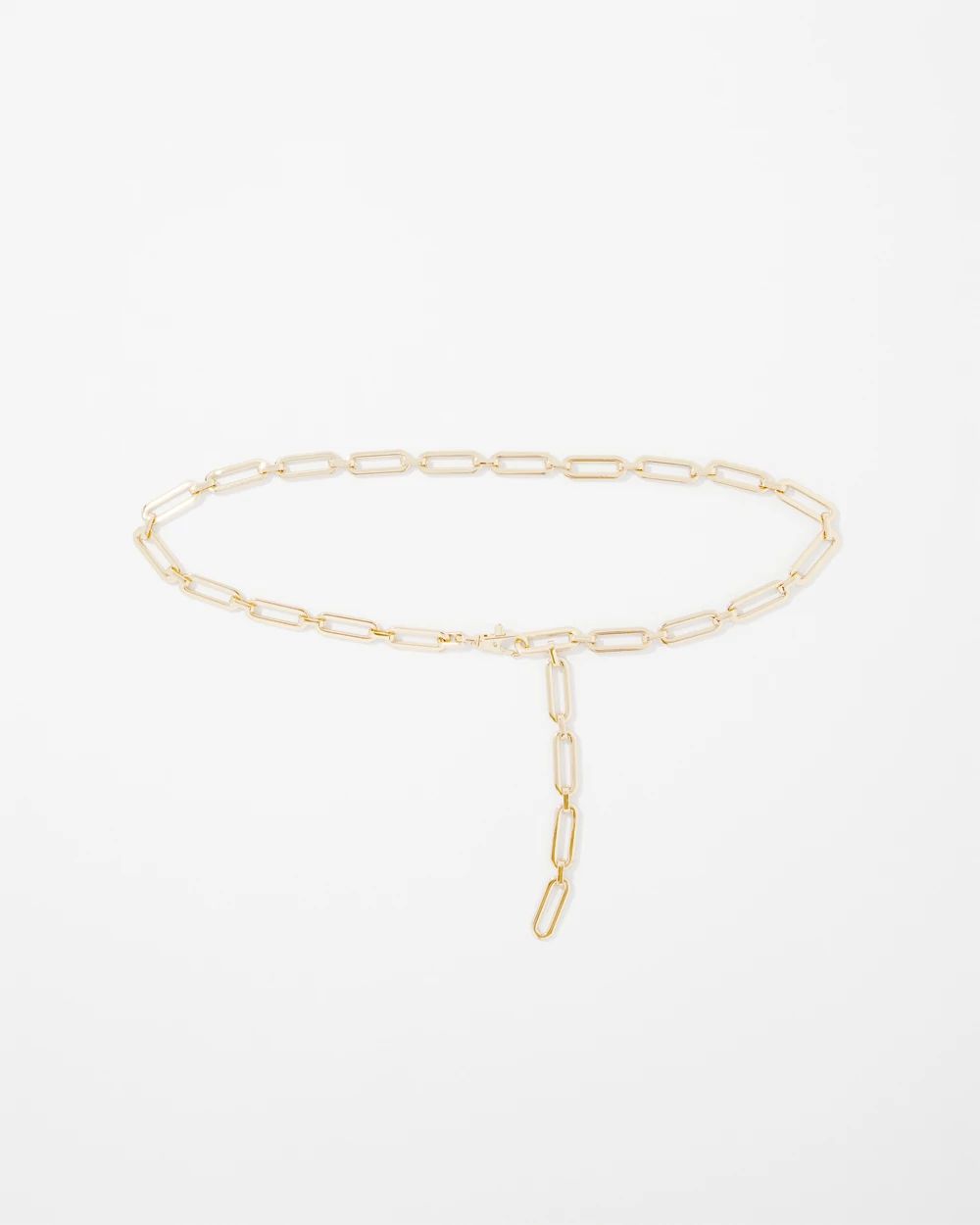 Elongated Chain Link Belt click to view larger image.