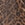 Signature Leopardvachetta