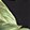 Banana Leaf Scarf Black
