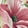 Tropics Floral Antique Wh