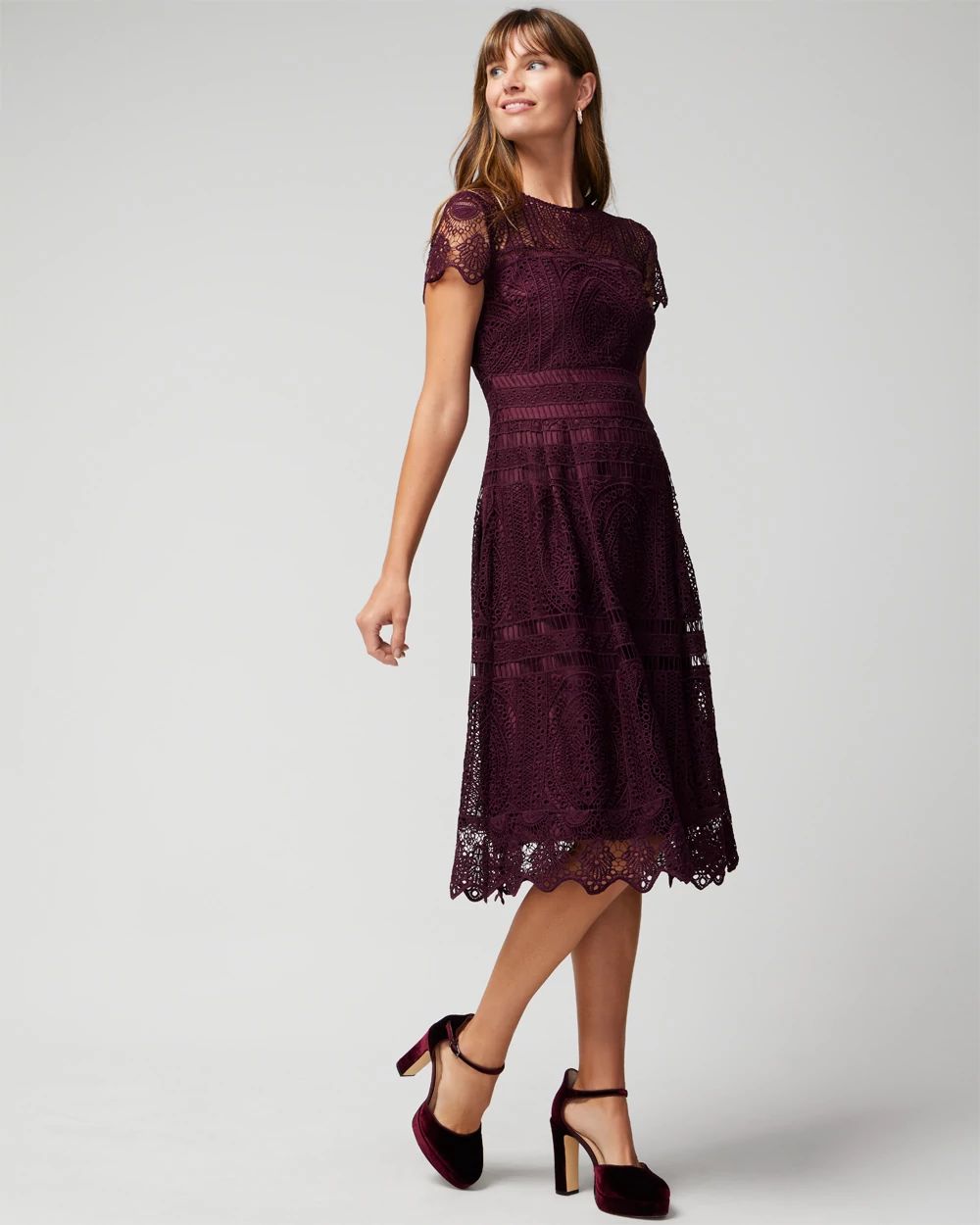 Embroidered Lace Fit-and-Flare Dress