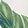 Banana Leaf Bdr Ecru
