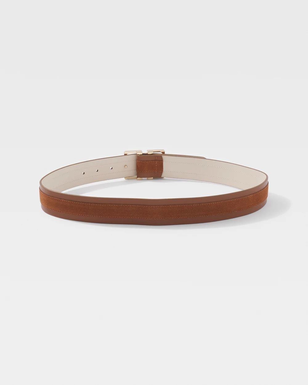 Wide Belt with Gold Buckle