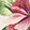 Tropics Floral Antique Wh