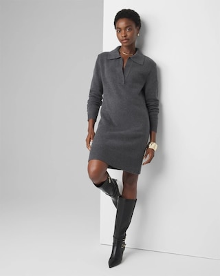 Polo Sweater Dress click to view larger image.