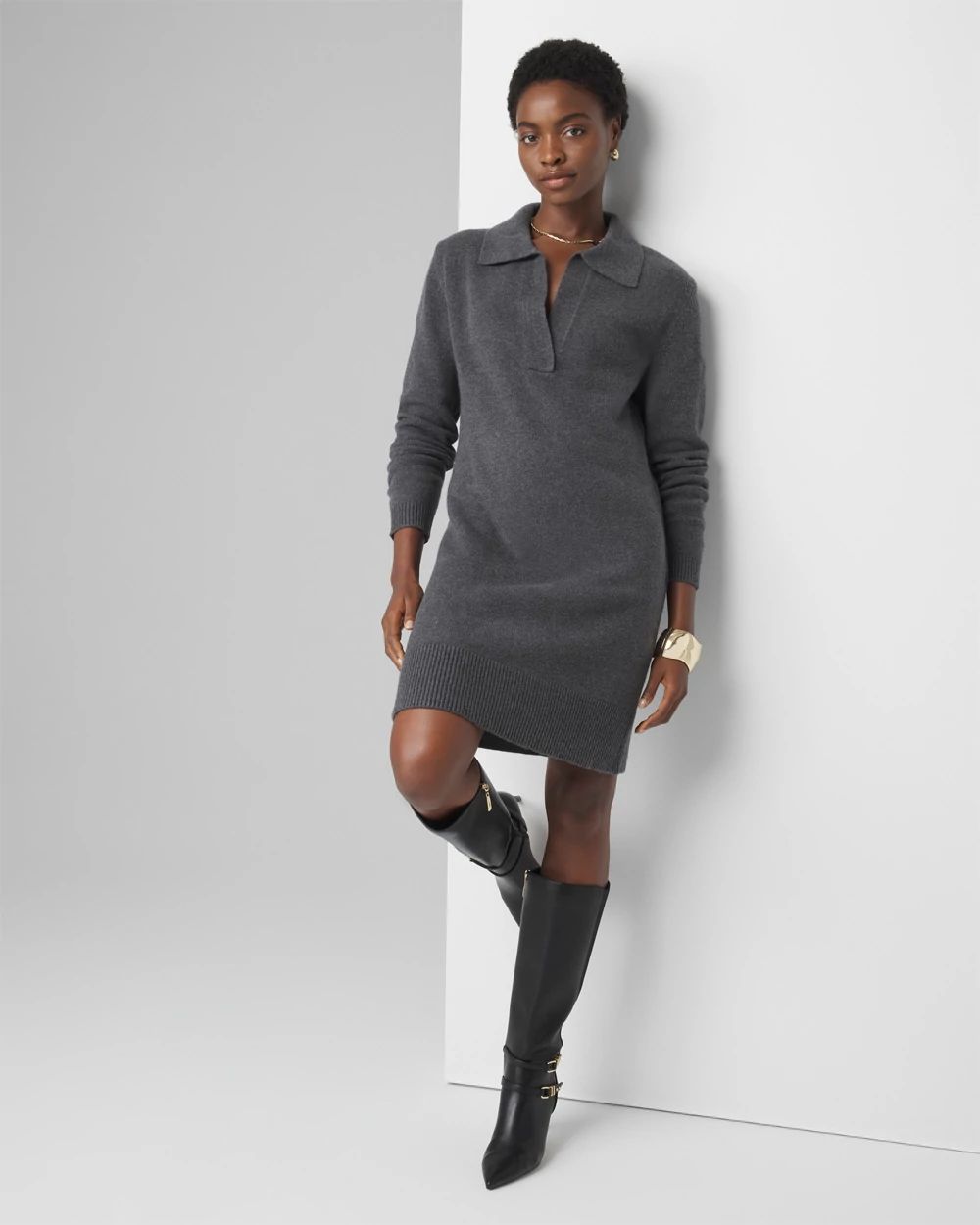 Petite Polo Sweater Dress