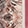 Paisley Culture Scarf Blk