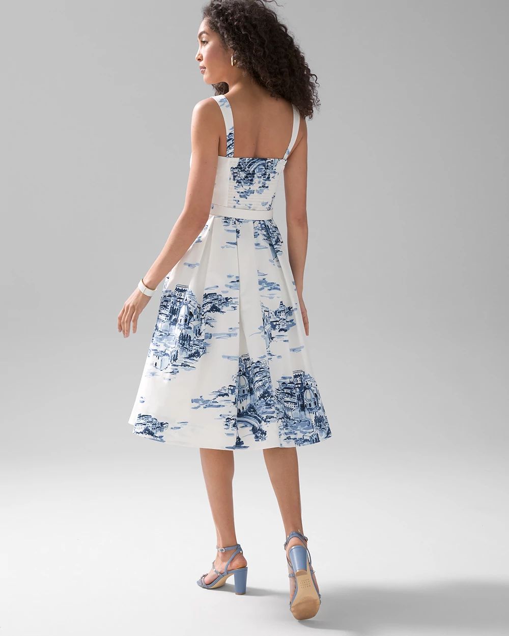Toile Poplin Fit & Flare Dress click to view larger image.