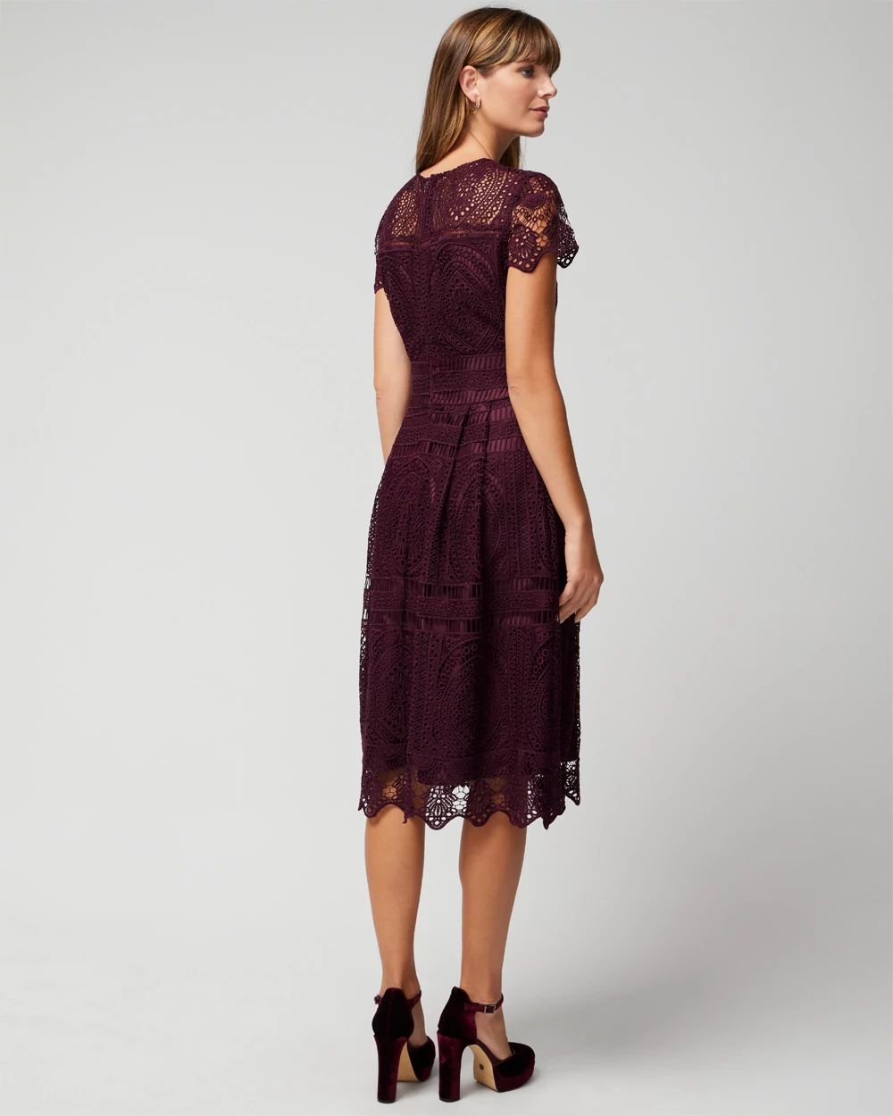 Petite Embroidered Lace Fit & Flare Dress click to view larger image.