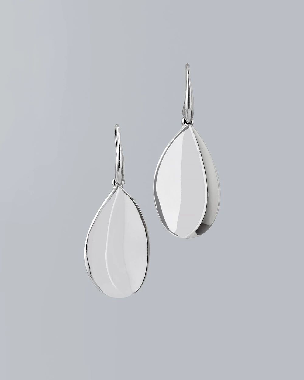 Sculpted Drop Earrings