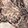 Paisley Cultr Antique Wht