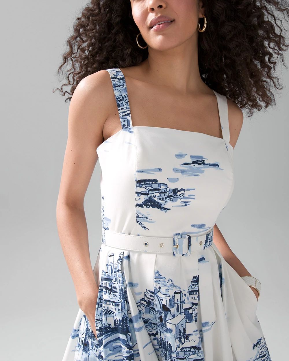 Toile Poplin Fit & Flare Dress