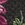 Black w Flora
