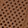 Heathered Golden Chestnut
