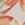 Jungle Flower Xl Ecru