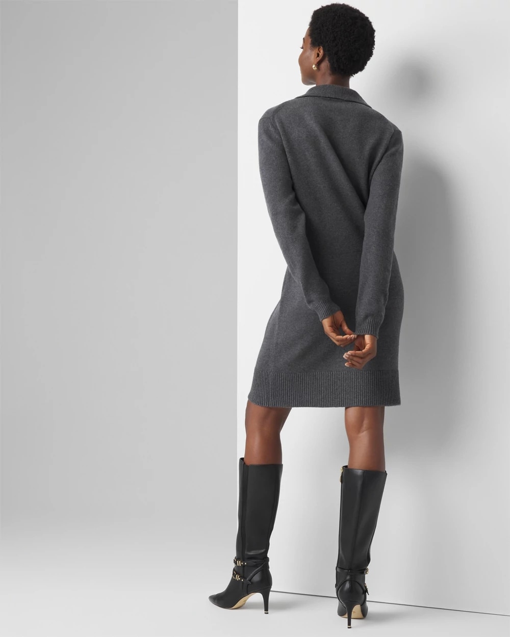Polo Sweater Dress