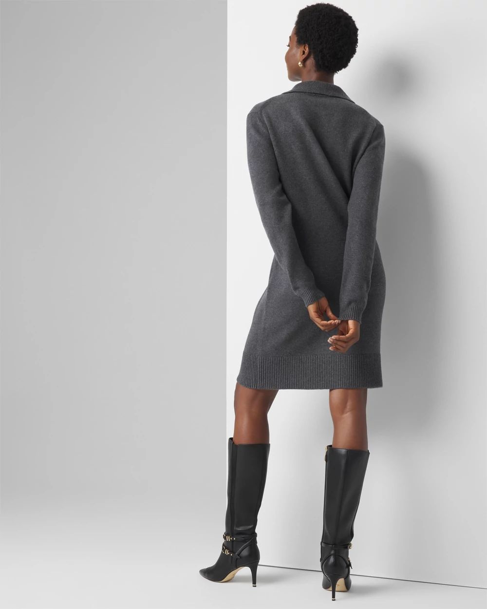 Polo Sweater Dress