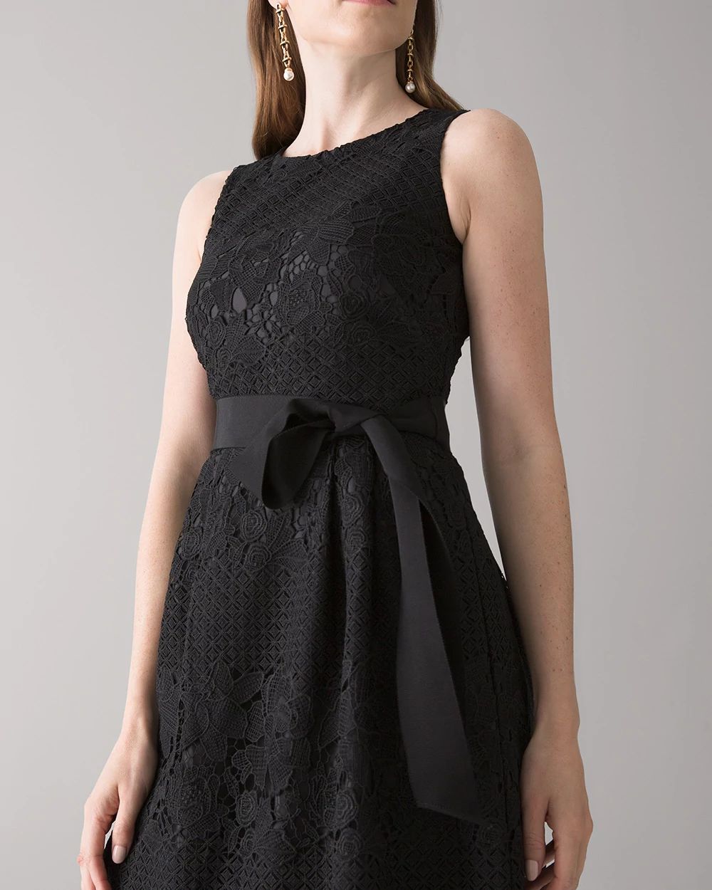 Petite Lace Fit & Flare Dress click to view larger image.