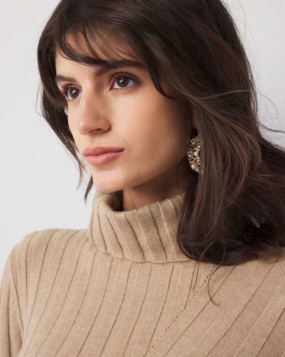 Petite Ribbed Turtleneck Sweater Dress
