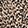 Joyful Leopard Taupe