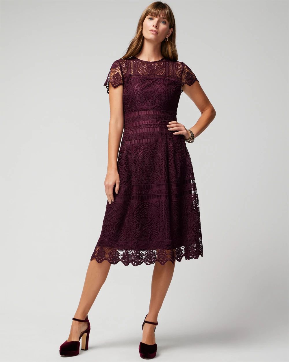 Embroidered Lace Fit-and-Flare Dress