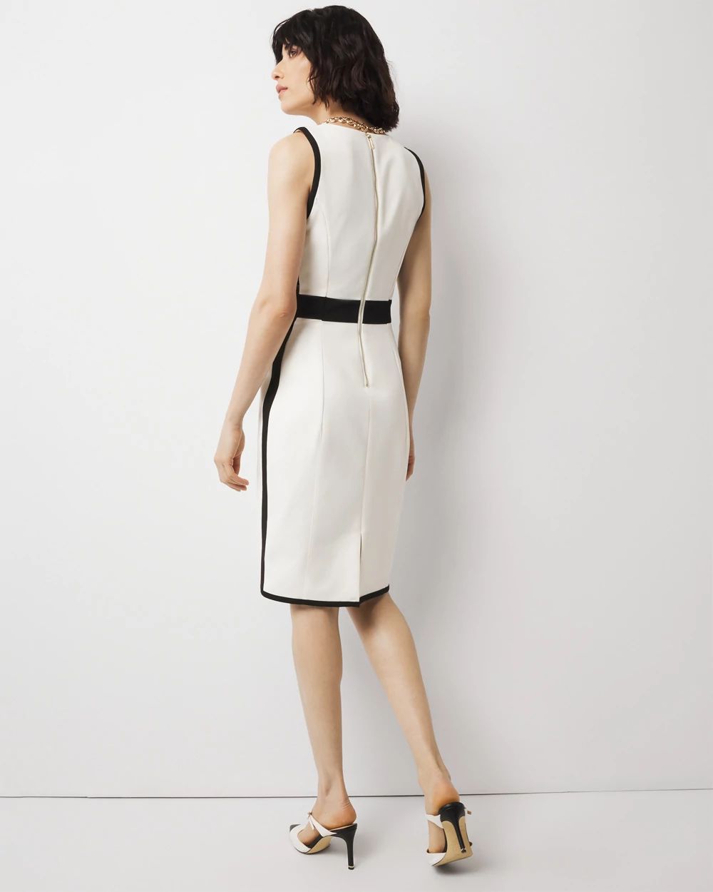 Sleeveless V-neck Colorblock Sheath