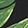 Banana Leaf Random Blk