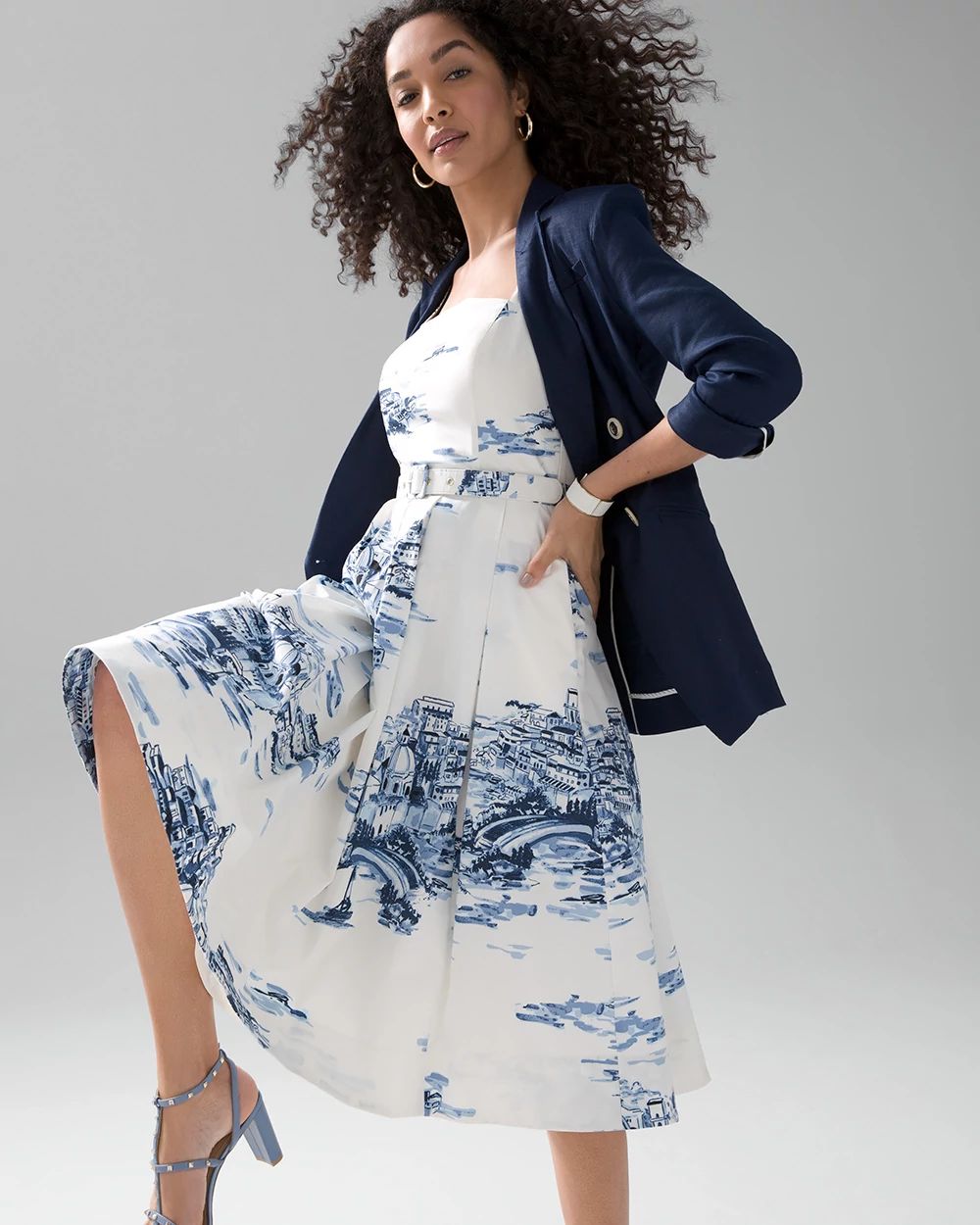 Toile Poplin Fit & Flare Dress