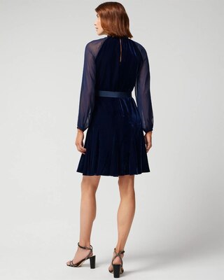 Petite Long Sleeve Sheer Sleeveless Velvet Mini Dress
