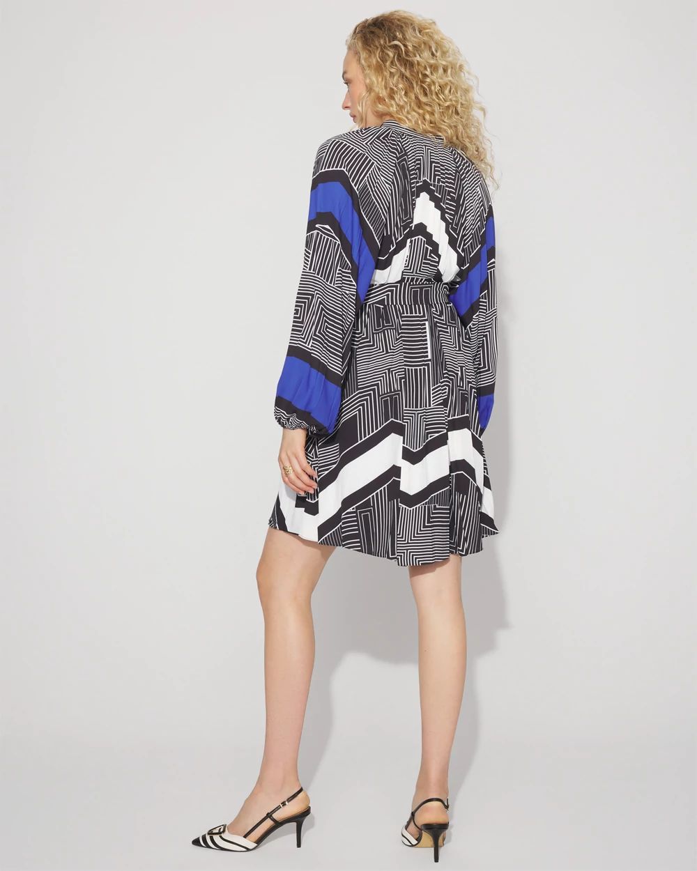 Long-Sleeve Pleated Belted Dress