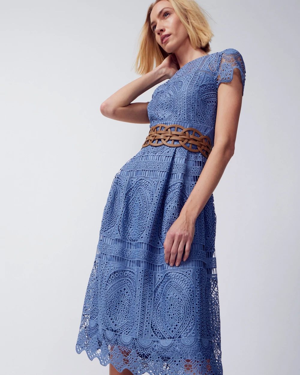 Embroidered Lace Fit-and-Flare Dress
