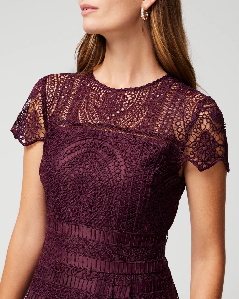 Embroidered Lace Fit-and-Flare Dress