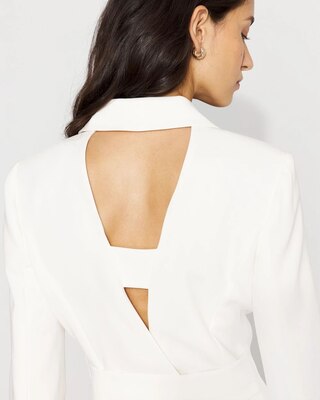 Blazer Dress click to view larger image.