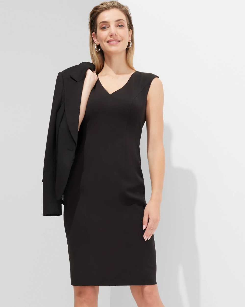 Outlet WHBM Sleeveless V-Neck Shift Dress click to view larger image.