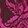 Abstract Trop Orchid Flwr