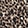 Joyful Leopard Taupe