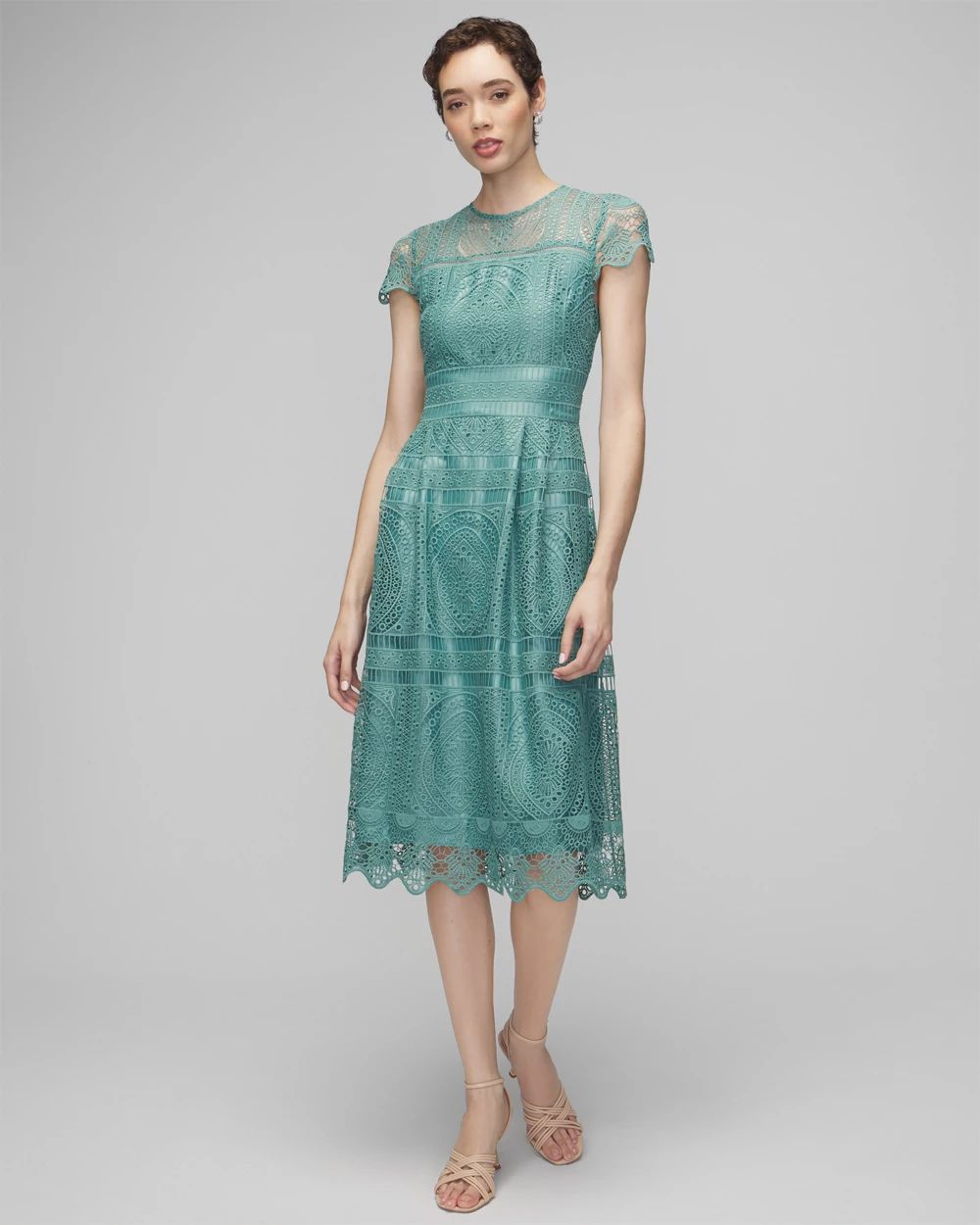 Embroidered Lace Fit-and-Flare Dress