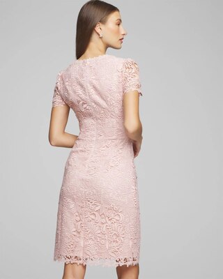 Petite Short Sleeve V-Neck Lace Sheath Dress