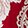 Passion Sc Ao Goji Nutshl