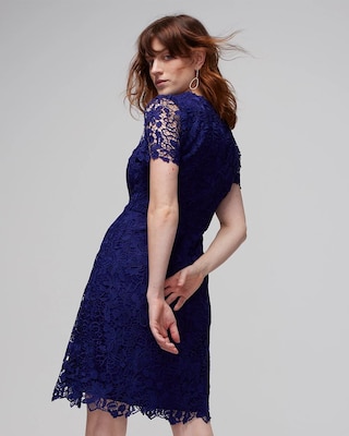 Short Sleeve V-neck Lace A-Line Dress
